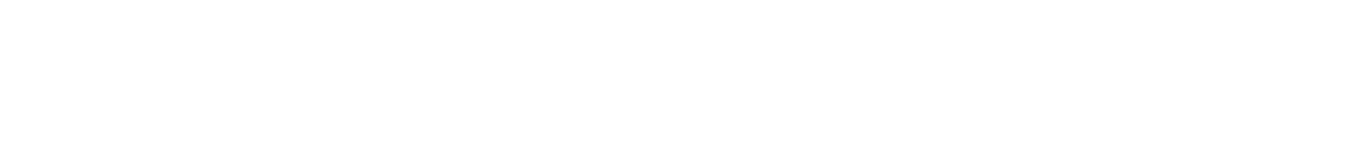 Online Store